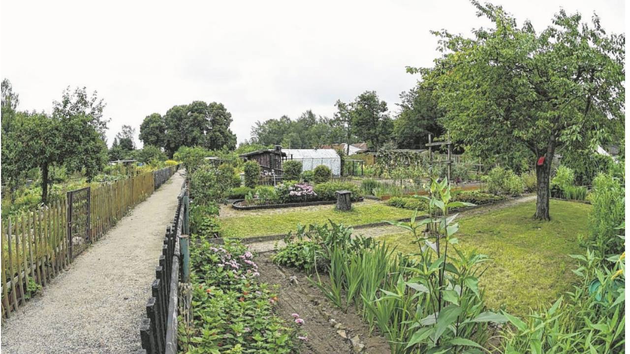 Gartenverein στη Γερμανία έδιωξε Έλληνα γιατι...