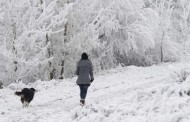 Πολικό ψύχος στη Γερμανία με τον υδράργυρο να πέφτει έως και στους -25 Κελσίου