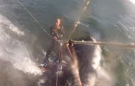 Απίστευτο βίντεο: Kiteboarder προσκρούει στην πλάτη μίας φάλαινας!