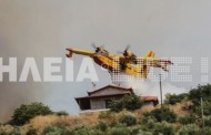 Συγκλονιστικό βίντεο: Η στιγμή που ένα Canadair βουτά στη φωτιά για να σώσει σπίτι