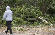 Γερμανία: Επτά νεκροί από την κακοκαιρία