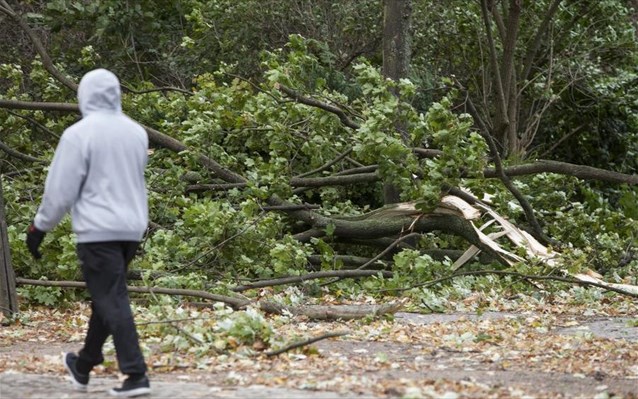 Γερμανία: Επτά νεκροί από την κακοκαιρία