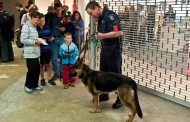 Γερμανία: Έλεγξαν με σκύλους τις αποσκευές επιβατών από την Τουρκία